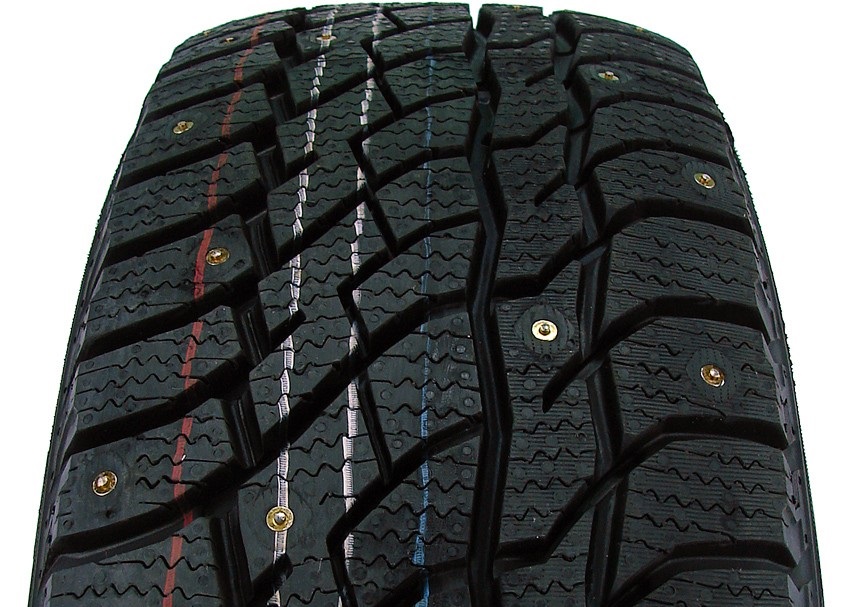 Viatti_Bosco_Nordico_V_523_n_sh_2