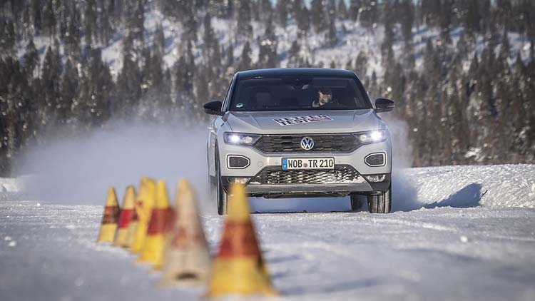 test_ams_winter_215_55r17_2019 (2)