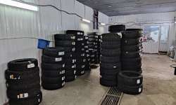 Филиал Петроградский