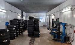 Филиал Петроградский