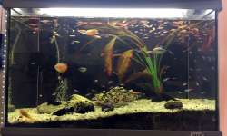 Звенигород