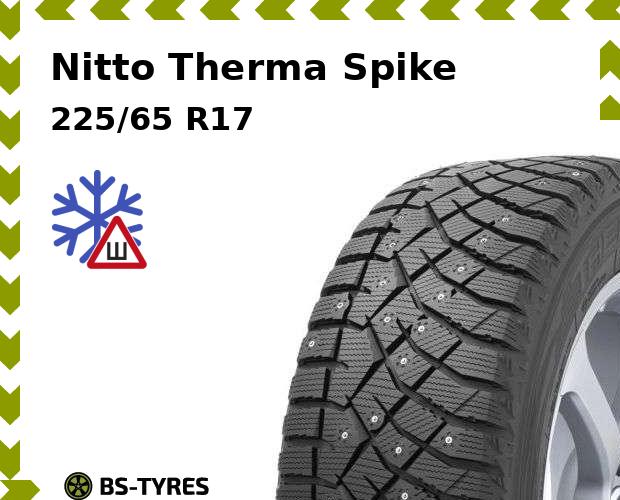 Зимние шины Nitto