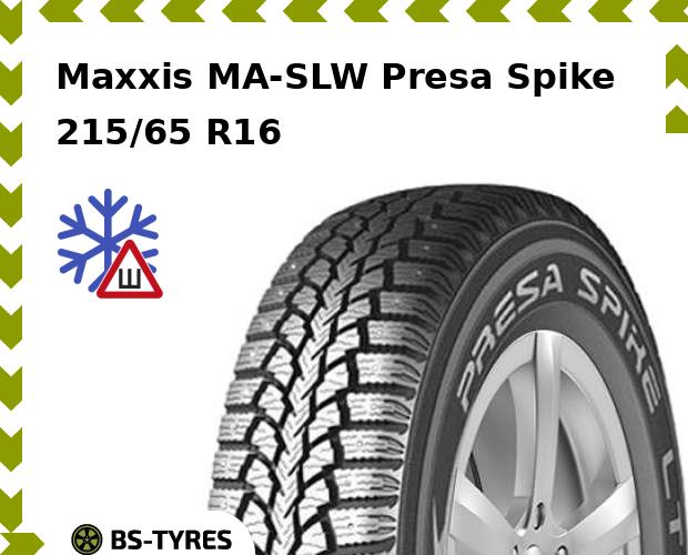 Зимние шины Maxxis