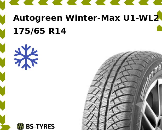 Зимние шины Autogreen