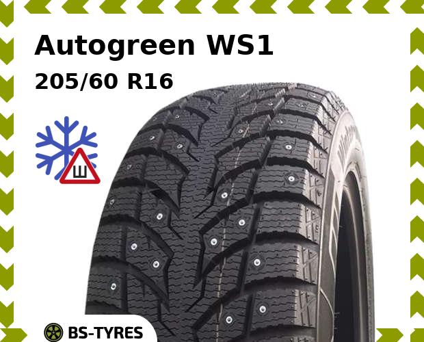 Autogreen WS1 205/60 R16 92H