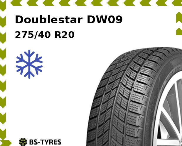 

Зимние шины Doublestar, DW09 275/40 R20 106V