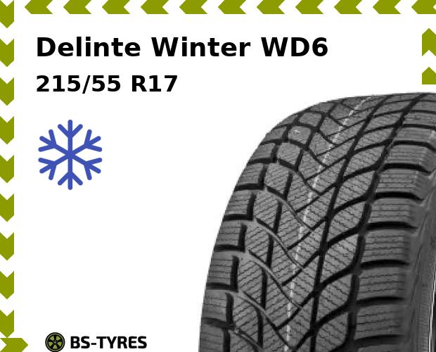 

Зимние шины Delinte, Winter WD6 215/55 R17 98H