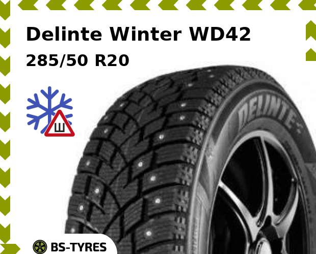 

Зимние шины Delinte, Winter WD42 285/50 R20 116T