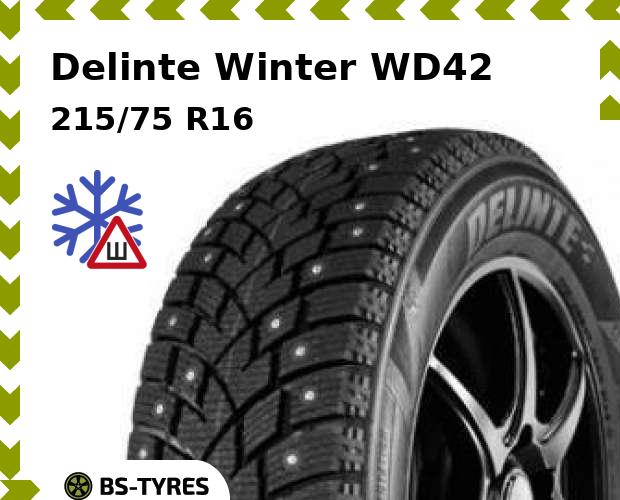 Delinte Winter WD42 C 116/