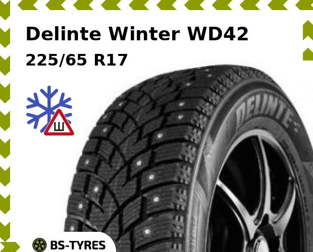 

Зимние шины Delinte, Winter WD42 225/65 R17 102T