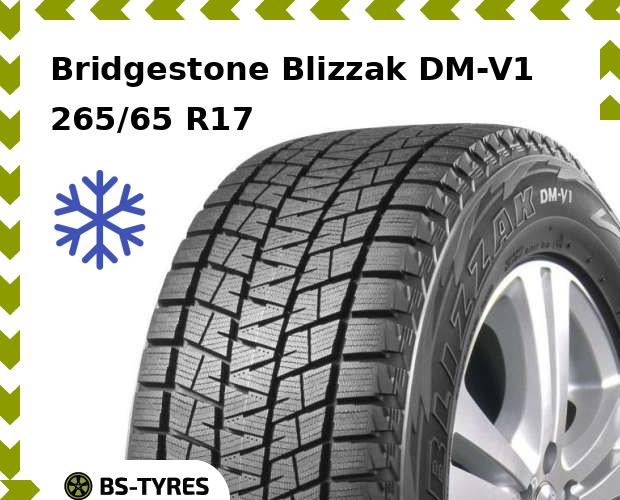 Bridgestone Blizzak DM-V1