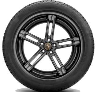 Continental ContiWinterContact TS830P 295/30 R19 100W
