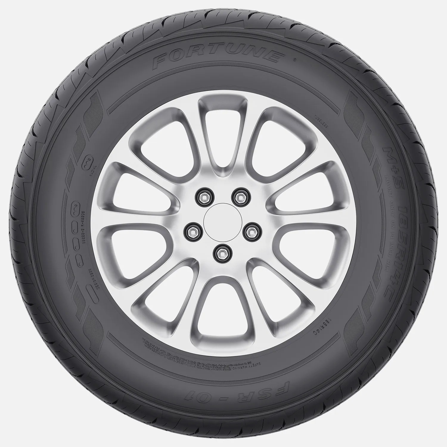 Fortune-FSR-01-3