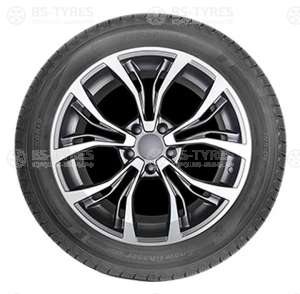 Autogreen Snow Chaser AW02 245/55 R19 103T