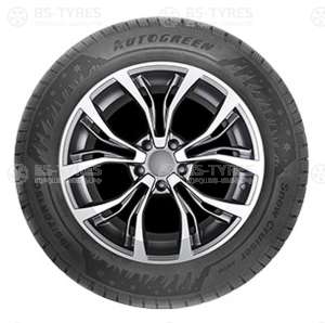 Autogreen Snow Cruiser AW06 215/65 R15C 104/102R