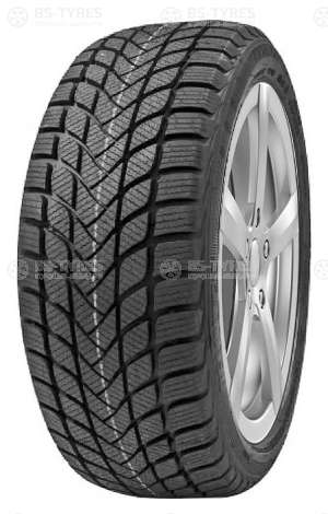 Delinte Winter WD6 205/65 R15 94H