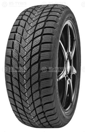 Delinte Winter WD6 205/65 R15 94H