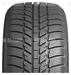 Evergreen Winter EW62 175/65 R15 84H