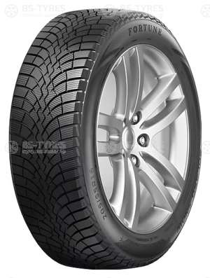 Fortuna Polaro Snow 205/60 R16 96H
