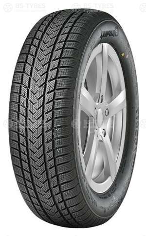 Gripmax SureGrip eWinter 255/60 R20 113V