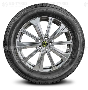 Roadx Frost WH12 205/65 R16 95T