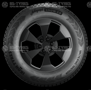 Ikon (Nokian Tyres) Autograph Snow C4 225/70 R15C 112/110R