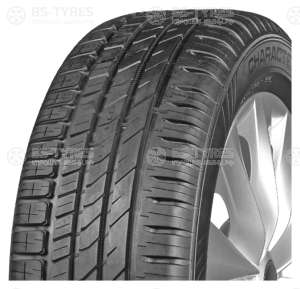 Ikon (Nokian Tyres) Character Eco (Nordman SX3) 195/65 R15 91H