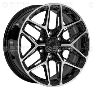 LS FG53 (BKF)