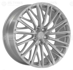 LS FG60 (SS)